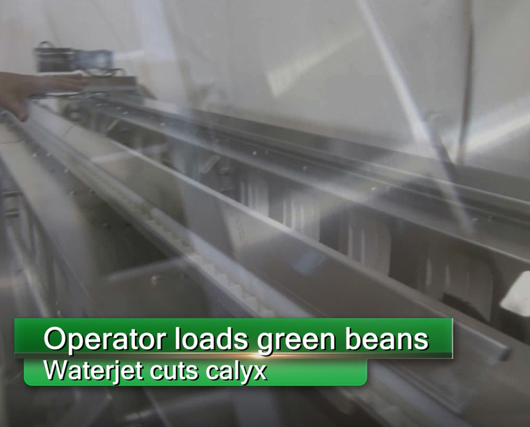 water cut green beans cuts labor costs